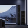 Lyngdorf BW-20 – pasywny subwoofer z dwoma głośnikami 12-calowymi