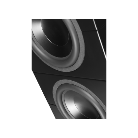 Lyngdorf BW-20 – pasywny subwoofer z dwoma głośnikami 12-calowymi